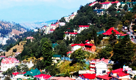 Shimla