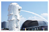 Delhi - Singapore